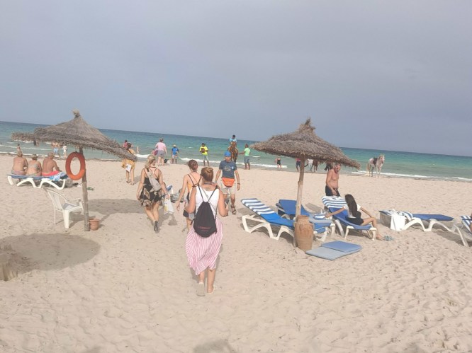 img20241008150543