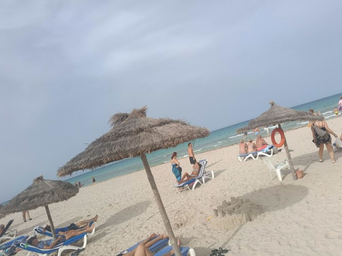 img20241008150544