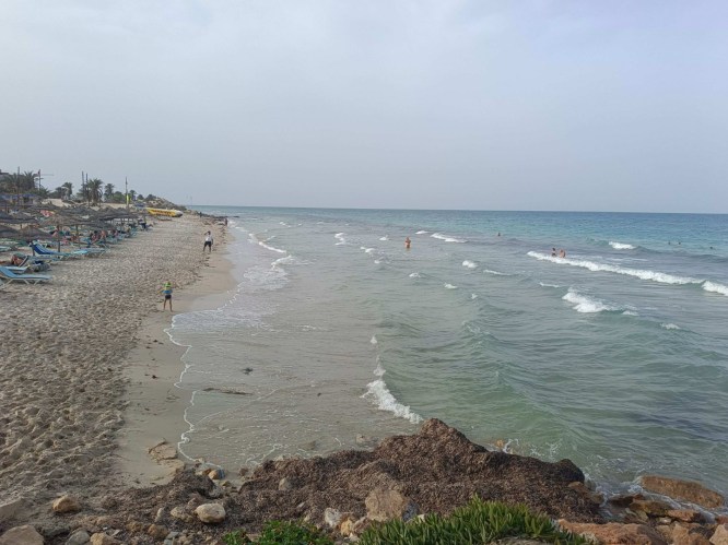 img20241008160416