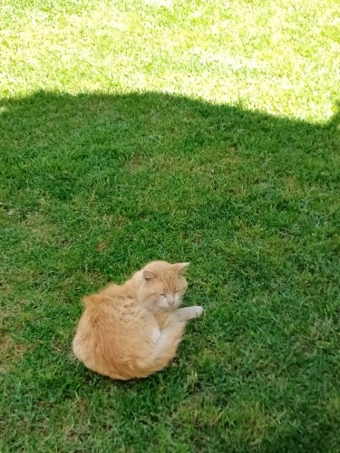 img_20240421_1211372