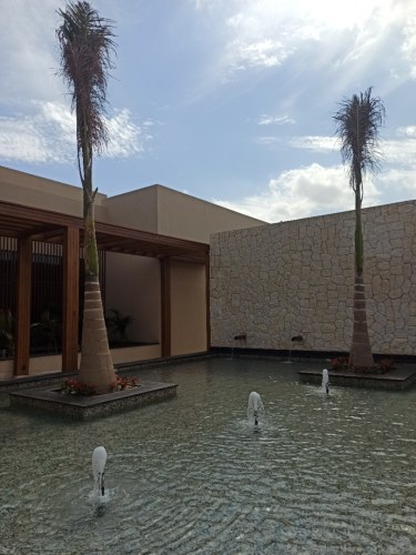 img_20250210_111308