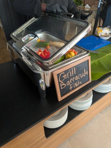 pxl_20251101_124702125.mp