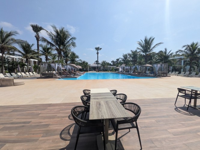 pxl_20251101_141653344