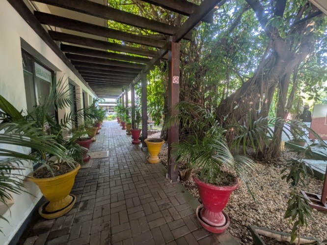 pxl_20251101_163747341