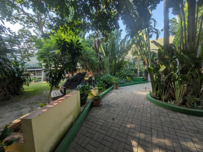 pxl_20251101_163829748