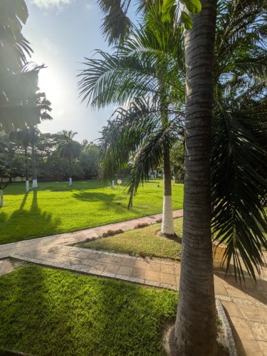 pxl_20251101_164203140