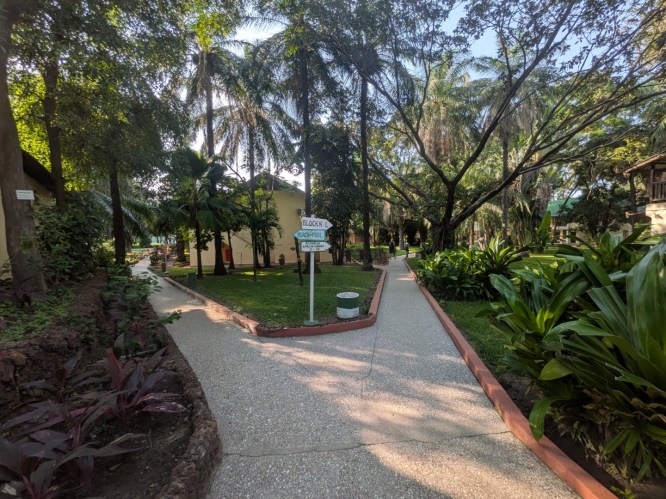 pxl_20251101_164516574