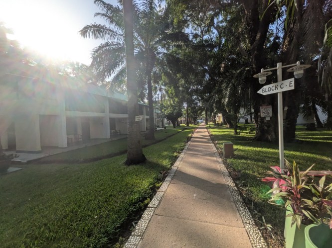 pxl_20251101_164629476