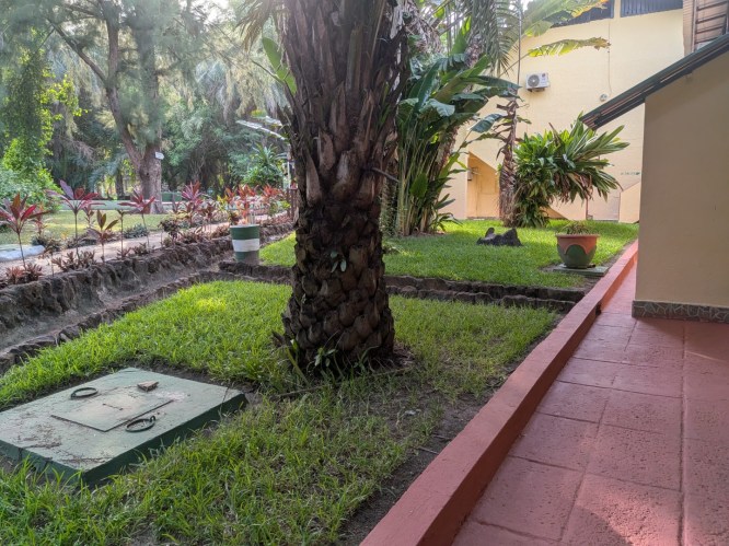 pxl_20251101_165146770