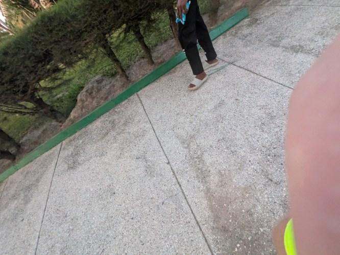 pxl_20251101_181008682