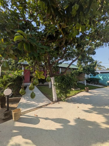 pxl_20251102_165659470