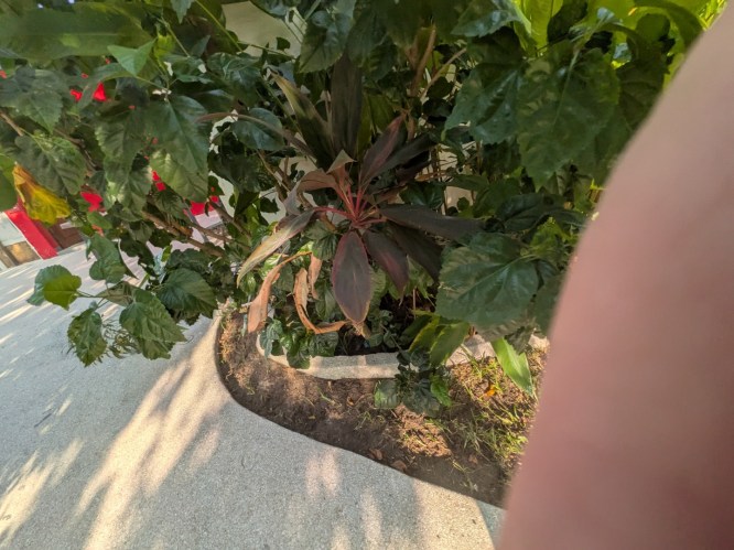 pxl_20251102_165712435