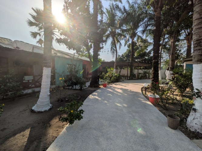 pxl_20251103_091253503