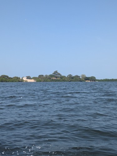 pxl_20251103_100635522.mp