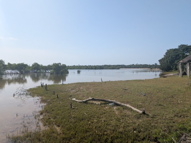 pxl_20251103_101323737