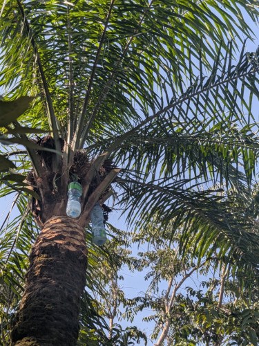 pxl_20251103_102507347