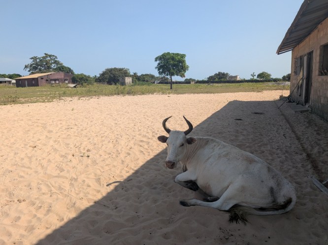 pxl_20251103_103937284