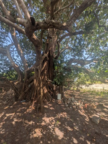 pxl_20251103_105014209