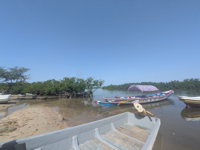 pxl_20251103_105737921