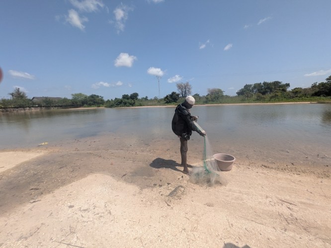 pxl_20251103_130911133