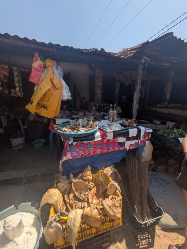 pxl_20251103_133245966