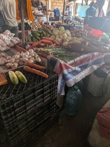 pxl_20251103_133356970