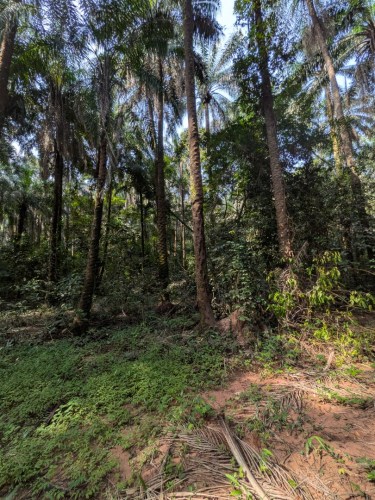 pxl_20251105_104224075