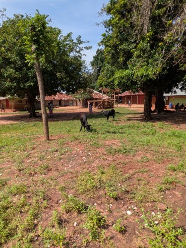 pxl_20251105_105924084