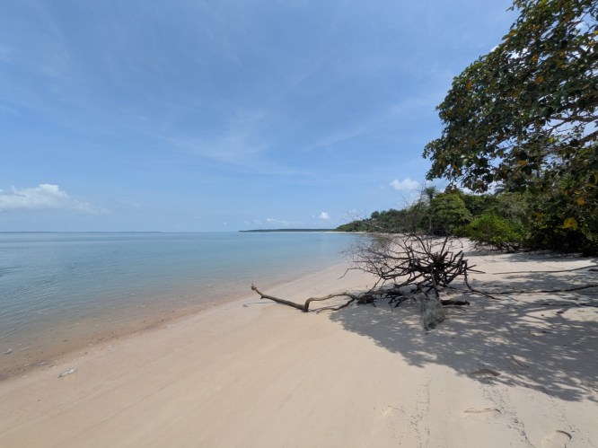 pxl_20251105_120533241