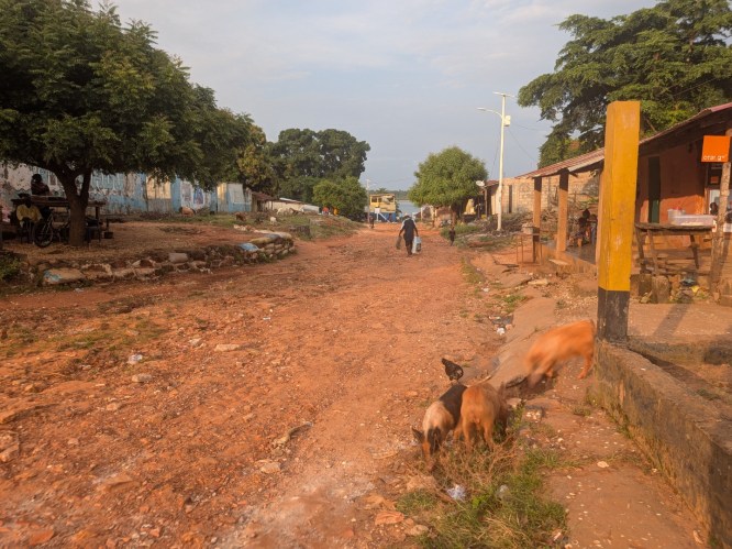 pxl_20251105_173832011.action_pan-01.cover