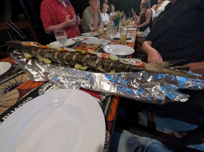 pxl_20251106_205302906